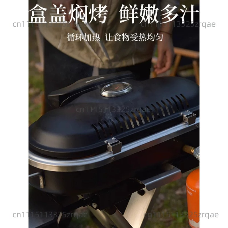 Estufa de Gas Portátil para In - Camping Cooking Range reseña y precio
