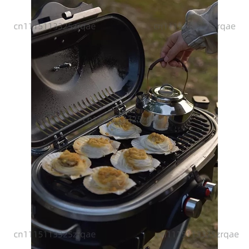 Estufa de Gas Portátil para In - Camping Cooking Range reseña y precio